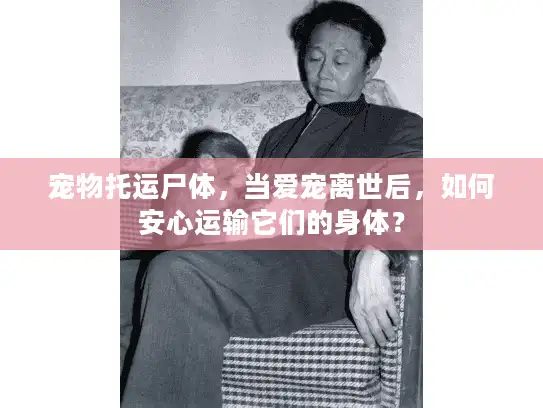 宠物托运尸体，当爱宠离世后，如何安心运输它们的身体？