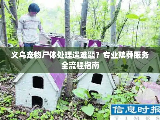 义乌宠物尸体处理遇难题？专业殡葬服务全流程指南