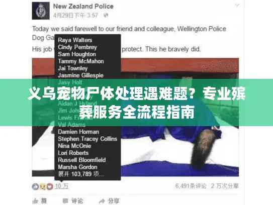 义乌宠物尸体处理遇难题？专业殡葬服务全流程指南