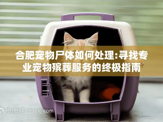 合肥宠物尸体如何处理:寻找专业宠物殡葬服务的终极指南