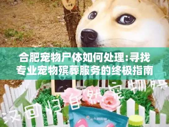 合肥宠物尸体如何处理:寻找专业宠物殡葬服务的终极指南