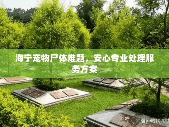 海宁宠物尸体难题，安心专业处理服务方案