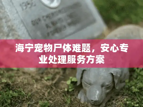海宁宠物尸体难题，安心专业处理服务方案