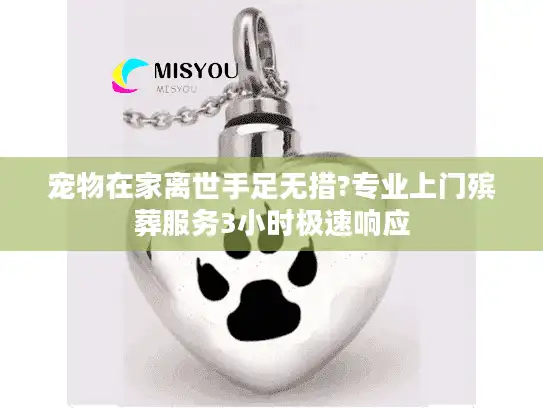 宠物在家离世手足无措?专业上门殡葬服务3小时极速响应