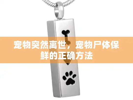 宠物突然离世，宠物尸体保鲜的正确方法