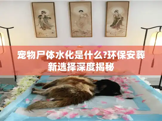 宠物尸体水化是什么?环保安葬新选择深度揭秘