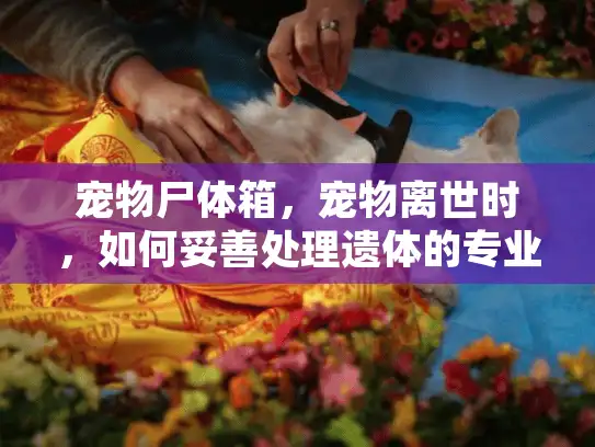 宠物尸体箱，宠物离世时，如何妥善处理遗体的专业方案？