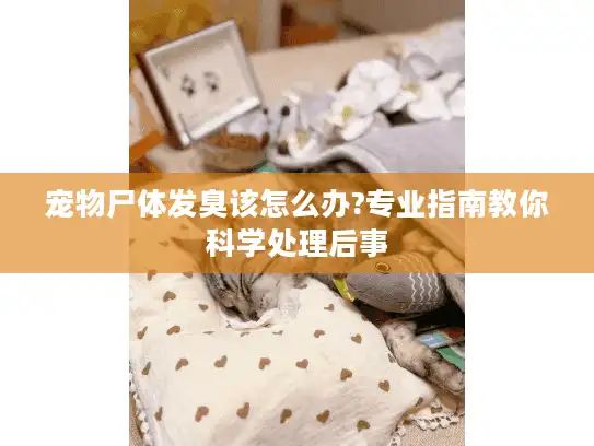 宠物尸体发臭该怎么办?专业指南教你科学处理后事