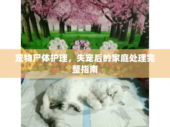 宠物尸体护理，失宠后的家庭处理完整指南