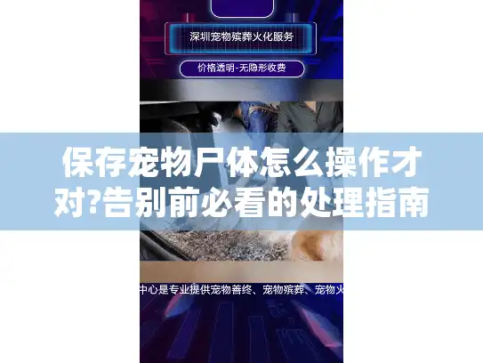保存宠物尸体怎么操作才对?告别前必看的处理指南