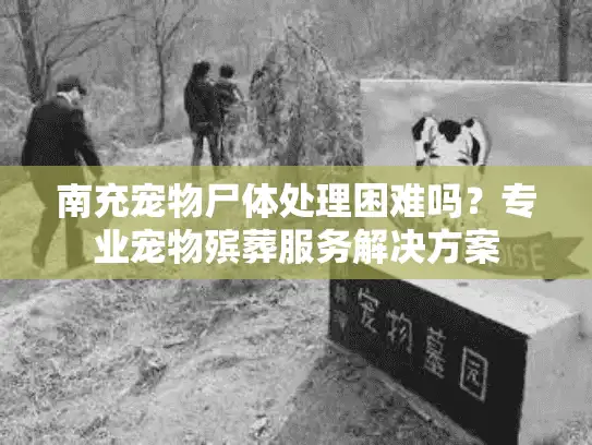 南充宠物尸体处理困难吗？专业宠物殡葬服务解决方案