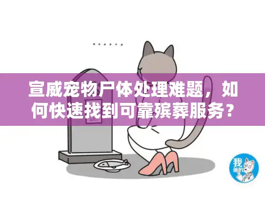 宣威宠物尸体处理难题，如何快速找到可靠殡葬服务？