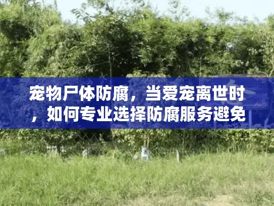 宠物尸体防腐，当爱宠离世时，如何专业选择防腐服务避免后悔？