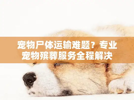 宠物尸体运输难题？专业宠物殡葬服务全程解决