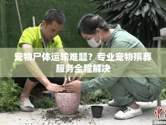 宠物尸体运输难题？专业宠物殡葬服务全程解决