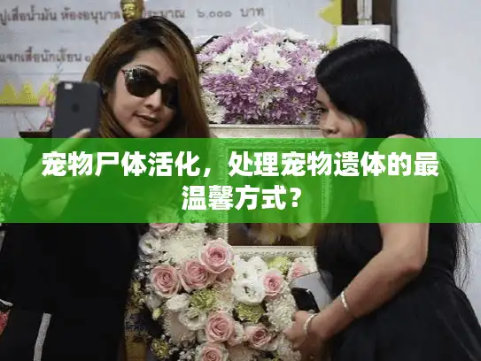 宠物尸体活化，处理宠物遗体的最温馨方式？
