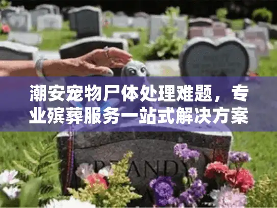 潮安宠物尸体处理难题，专业殡葬服务一站式解决方案