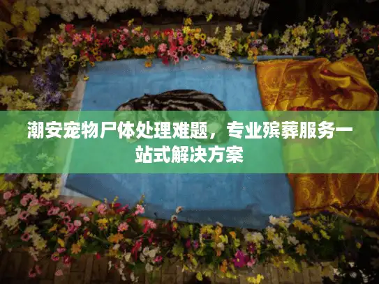 潮安宠物尸体处理难题，专业殡葬服务一站式解决方案