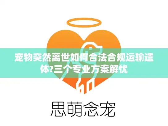 宠物突然离世如何合法合规运输遗体?三个专业方案解忧