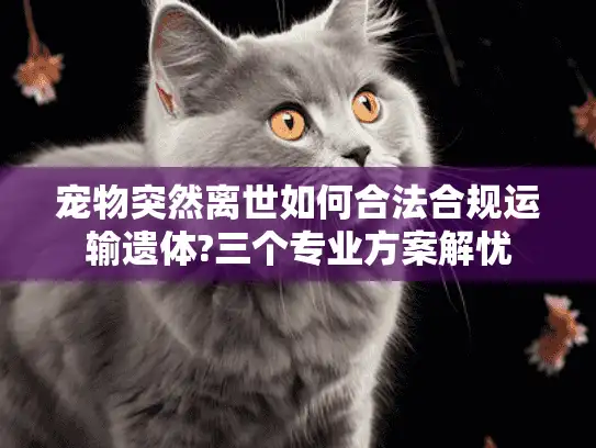 宠物突然离世如何合法合规运输遗体?三个专业方案解忧