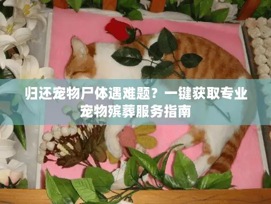 归还宠物尸体遇难题？一键获取专业宠物殡葬服务指南
