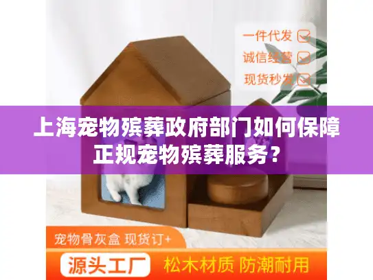 上海宠物殡葬政府部门如何保障正规宠物殡葬服务？