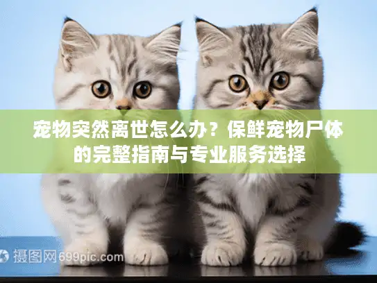 宠物突然离世怎么办？保鲜宠物尸体的完整指南与专业服务选择