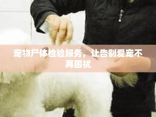 宠物尸体检验服务，让告别爱宠不再困扰