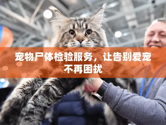 宠物尸体检验服务，让告别爱宠不再困扰