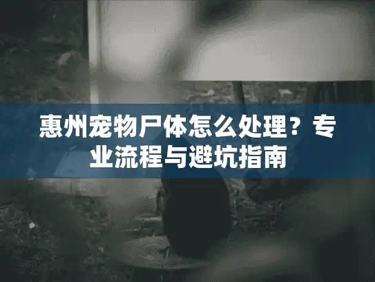 惠州宠物尸体怎么处理？专业流程与避坑指南