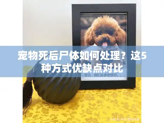 宠物死后尸体如何处理？这5种方式优缺点对比