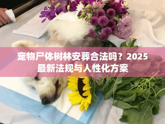 宠物尸体树林安葬合法吗？2025最新法规与人性化方案