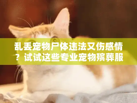 乱丢宠物尸体违法又伤感情？试试这些专业宠物殡葬服务