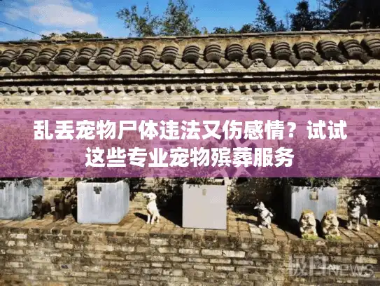 乱丢宠物尸体违法又伤感情？试试这些专业宠物殡葬服务