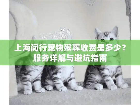 上海闵行宠物殡葬收费是多少？服务详解与避坑指南