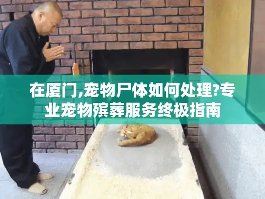 在厦门,宠物尸体如何处理?专业宠物殡葬服务终极指南