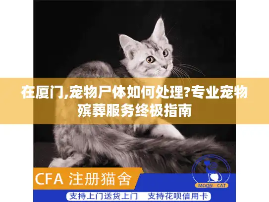 在厦门,宠物尸体如何处理?专业宠物殡葬服务终极指南