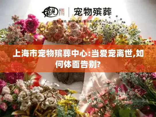 上海市宠物殡葬中心:当爱宠离世,如何体面告别?