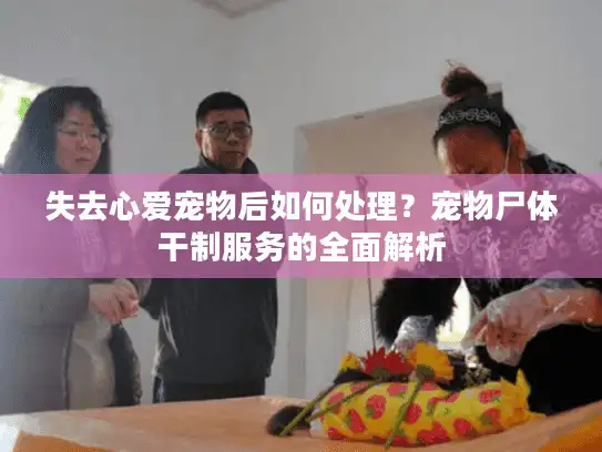 失去心爱宠物后如何处理？宠物尸体干制服务的全面解析