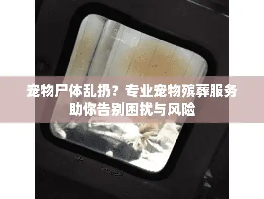 宠物尸体乱扔？专业宠物殡葬服务助你告别困扰与风险