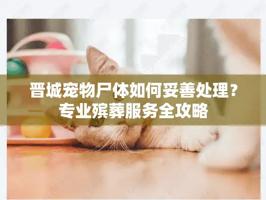 晋城宠物尸体如何妥善处理？专业殡葬服务全攻略