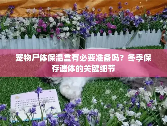 宠物尸体保温盒有必要准备吗？冬季保存遗体的关键细节