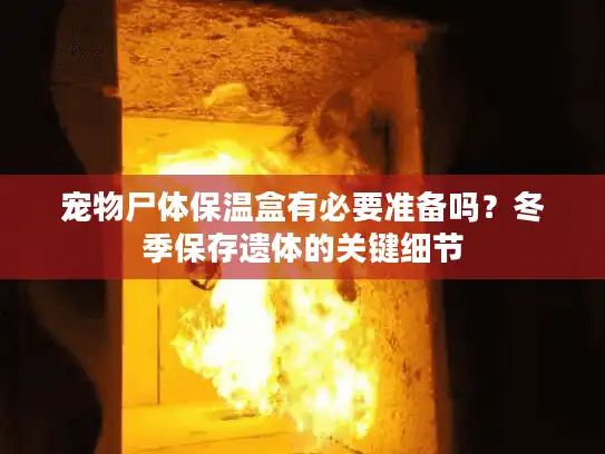 宠物尸体保温盒有必要准备吗？冬季保存遗体的关键细节