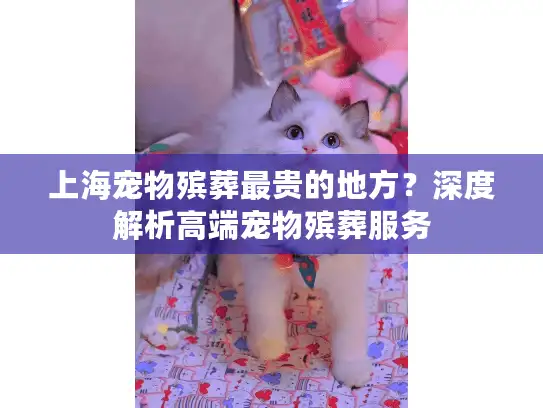 上海宠物殡葬最贵的地方？深度解析高端宠物殡葬服务