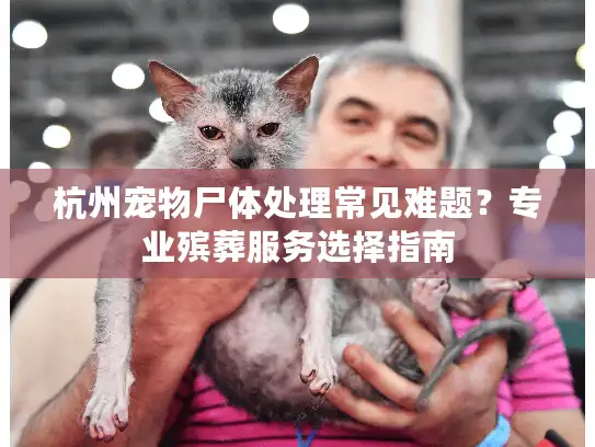 杭州宠物尸体处理常见难题？专业殡葬服务选择指南