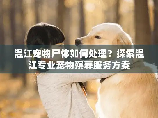 温江宠物尸体如何处理？探索温江专业宠物殡葬服务方案