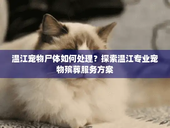 温江宠物尸体如何处理？探索温江专业宠物殡葬服务方案