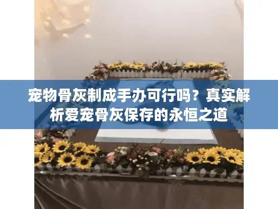 宠物骨灰制成手办可行吗？真实解析爱宠骨灰保存的永恒之道