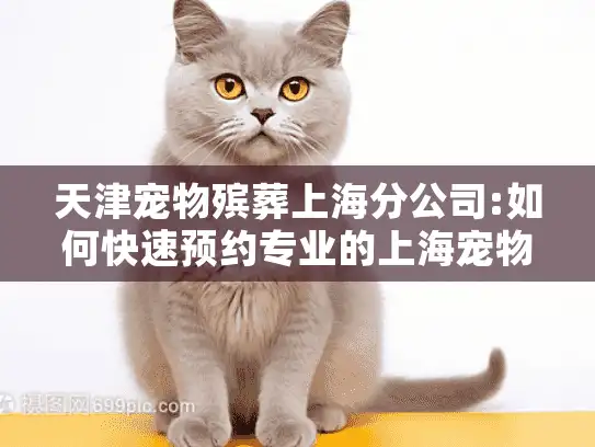 天津宠物殡葬上海分公司:如何快速预约专业的上海宠物殡葬服务?
