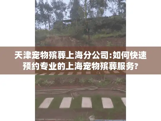 天津宠物殡葬上海分公司:如何快速预约专业的上海宠物殡葬服务?